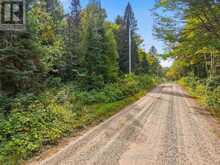 00 PAINT LAKE ROAD | Baysville Ontario | Slide Image Two