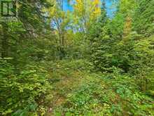 00 PAINT LAKE ROAD | Baysville Ontario | Slide Image Seven