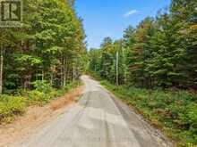00 PAINT LAKE ROAD | Baysville Ontario | Slide Image Nine