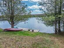 15190 HIGHWAY 118 | Haliburton Ontario | Slide Image Forty-six