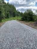 0 THREE MILE LAKE ROAD | Armour Ontario | Slide Image Nine