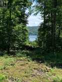 1914 KENNISIS LAKE ROAD | Haliburton Ontario | Slide Image Twenty-eight