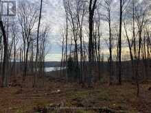 1914 KENNISIS LAKE ROAD | Haliburton Ontario | Slide Image Thirty-one