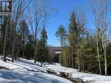 1914 KENNISIS LAKE ROAD | Haliburton Ontario | Slide Image Thirty-two