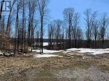 1914 KENNISIS LAKE ROAD | Haliburton Ontario | Slide Image Thirty-three
