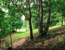 0 TOWNLINE ROAD | Huntsville Ontario | Slide Image Fifteen