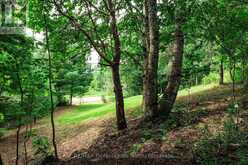 0 TOWNLINE ROAD | Huntsville Ontario | Slide Image Two