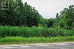 0 TOWNLINE ROAD | Huntsville Ontario | Slide Image Thirty-four