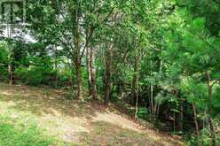 0 TOWNLINE ROAD | Huntsville Ontario | Slide Image Five