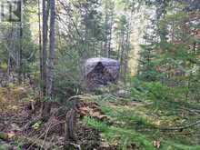 1181 MOOT LAKE ROAD | Baysville Ontario | Slide Image Eighteen