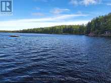 1181 MOOT LAKE ROAD | Baysville Ontario | Slide Image Twenty