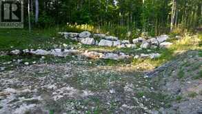 279 BARNEY'S BOULEVARD | Miller Lake Ontario | Slide Image Sixteen