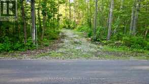 279 BARNEY'S BOULEVARD | Miller Lake Ontario | Slide Image One