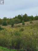 314346 HWY 6 HIGHWAY | Durham Ontario | Slide Image Three