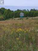 314346 HWY 6 HIGHWAY | Durham Ontario | Slide Image Six