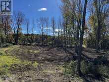 LOT 9 CONCESSION 11 CONCESSION S | Owen Sound Ontario | Slide Image Three