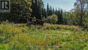 4388 LOOP ROAD | Highlands East Ontario | Slide Image Two