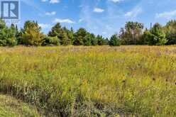 397061 5TH LINE | Melancthon Ontario | Slide Image Forty-six