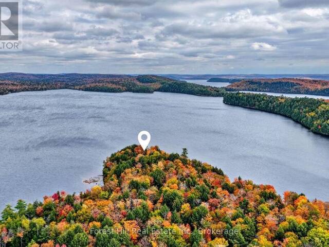 1089 LUTES LANE Lake of Bays Ontario, P0A 1E0 - 4 Bedrooms Waterfront Home For sale