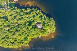 1089 LUTES LANE | Lake of Bays Ontario | Slide Image One