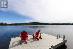 1054 INAWENDAWIN ROAD | Baysville Ontario | Slide Image Forty-four