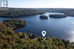 1054 INAWENDAWIN ROAD | Baysville Ontario | Slide Image Forty-seven