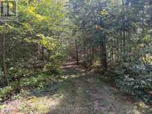 0 STISTED ROAD | Huntsville Ontario | Slide Image Twenty-four