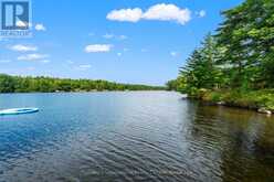 10354 GO HOME LAKE SHORE | MacTier Ontario | Slide Image Forty-three