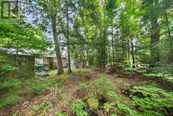 1054 KEYSBURY DRIVE | Dwight Ontario | Slide Image Eleven