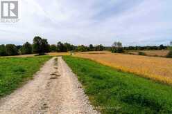 317670 6&10 HIGHWAY | Owen Sound Ontario | Slide Image Thirty-seven