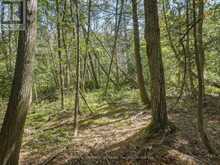 0 BAYVIEW ACRES | Baysville Ontario | Slide Image Twelve