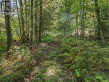 0 BAYVIEW ACRES | Baysville Ontario | Slide Image Seventeen