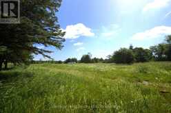 605303 13A SIDE ROAD | Markdale Ontario | Slide Image Twenty-two
