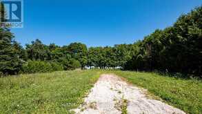 LT 38 GRAHAMS HILL ROAD | Georgian Bluffs Ontario | Slide Image Thirty-three