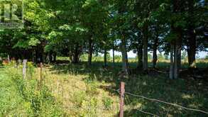 LT 38 GRAHAMS HILL ROAD | Georgian Bluffs Ontario | Slide Image Thirty-eight