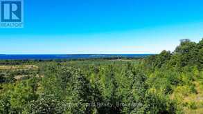 LT 38 GRAHAMS HILL ROAD | Georgian Bluffs Ontario | Slide Image Forty-three