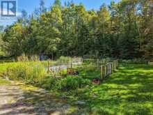 1035 SHERWOOD FOREST ROAD | Bracebridge Ontario | Slide Image Forty-two