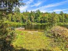 1035 SHERWOOD FOREST ROAD | Bracebridge Ontario | Slide Image Forty-four
