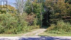 611 TUSCARORA ROAD | Ripley Ontario | Slide Image Six