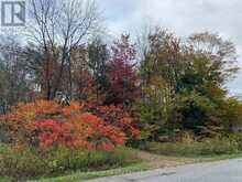 611 TUSCARORA ROAD | Ripley Ontario | Slide Image Nine