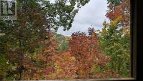 27-202 GOLFVIEW - DEERHURST DRIVE | Huntsville Ontario | Slide Image Five