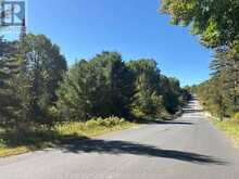 PT LT 7 CON 10 PICKEREL & JACK LAKE ROAD | Magnetawan Ontario | Slide Image Five