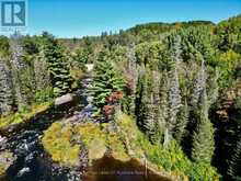 PT LT 7 CON 10 PICKEREL & JACK LAKE ROAD | Magnetawan Ontario | Slide Image Nine