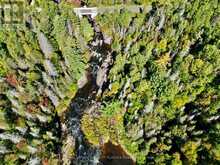 PT LT 7 CON 10 PICKEREL & JACK LAKE ROAD | Magnetawan Ontario | Slide Image Thirteen