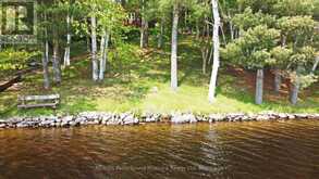 38 SHEBESHEKONG ESTATES ROAD S | Carling Ontario | Slide Image Nine