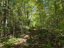 467063 12TH CONCESSION B | Flesherton Ontario | Slide Image Thirty-seven