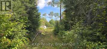 1331 MILLER ROAD | Magnetawan Ontario | Slide Image One