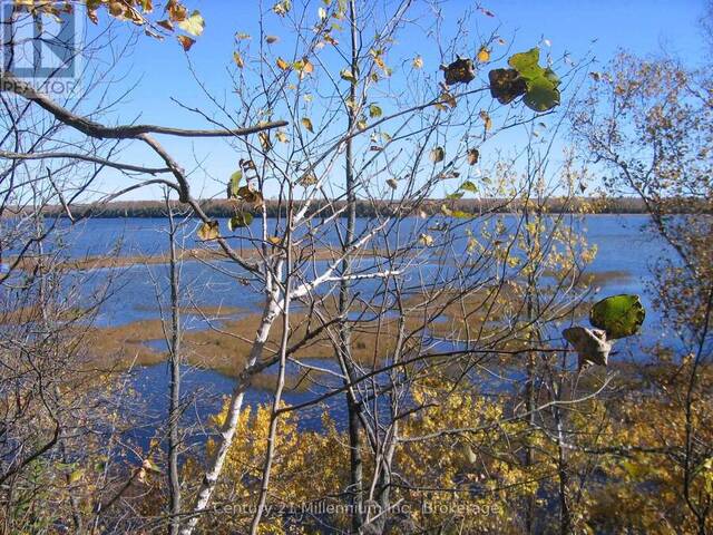 0 LT 26 CON 2 WBR ALBEMARLE CONCESSION Georgian Bluffs Ontario, N0H 2T0 - Waterfront Land For Sale