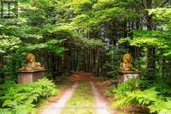 1521 OLD HWY 117 | Baysville Ontario | Slide Image Forty-five