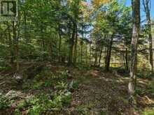 0 ESTONIAN CAMP ROAD | Huntsville Ontario | Slide Image Four